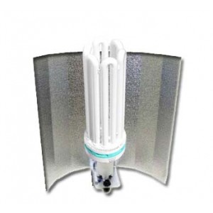 Ampoule CFL 200 Watt Croissance